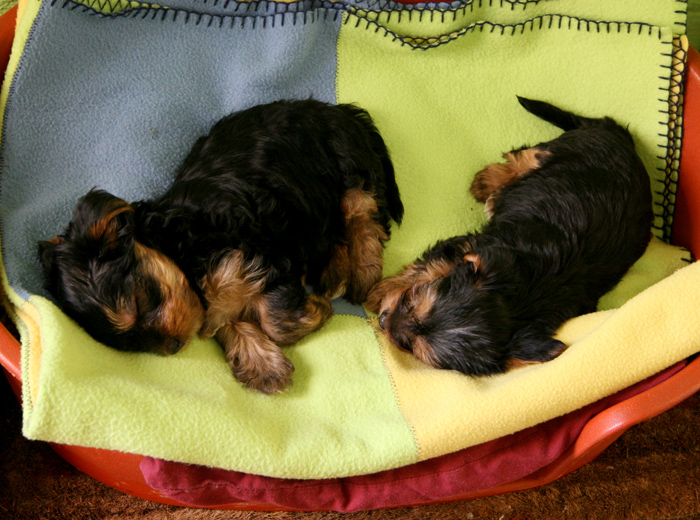 ddos压力测试平台