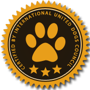 ip攻击器网页版